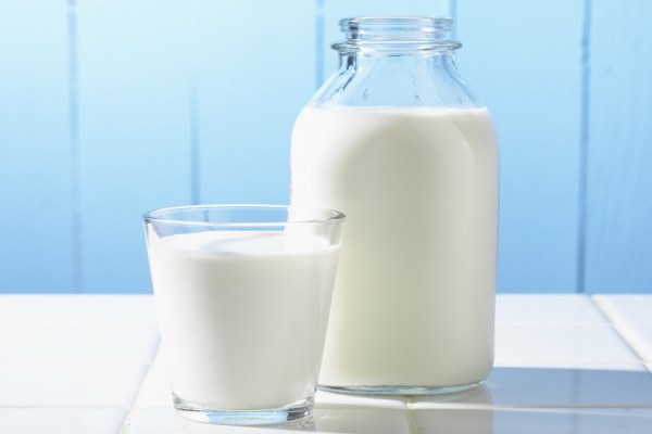 Uống sữa mỗi ngày giúp bé phát triển não bộ và tăng cường trí nhớ