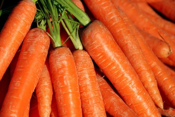 Cà rốt nổi tiếng là thực phẩm tốt cho mắt của trẻ
