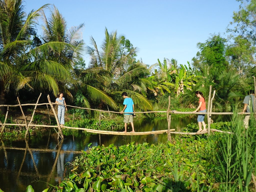 Đến Bến Tre đừng quên khám phá sân chim Vàm Hồ